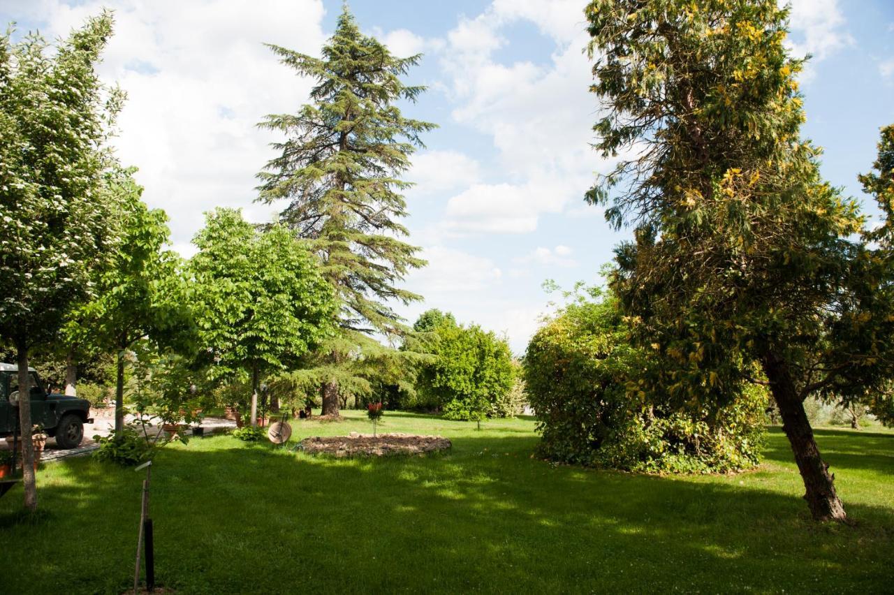 Agriturismo Villa La Morina Cortona Exterior photo