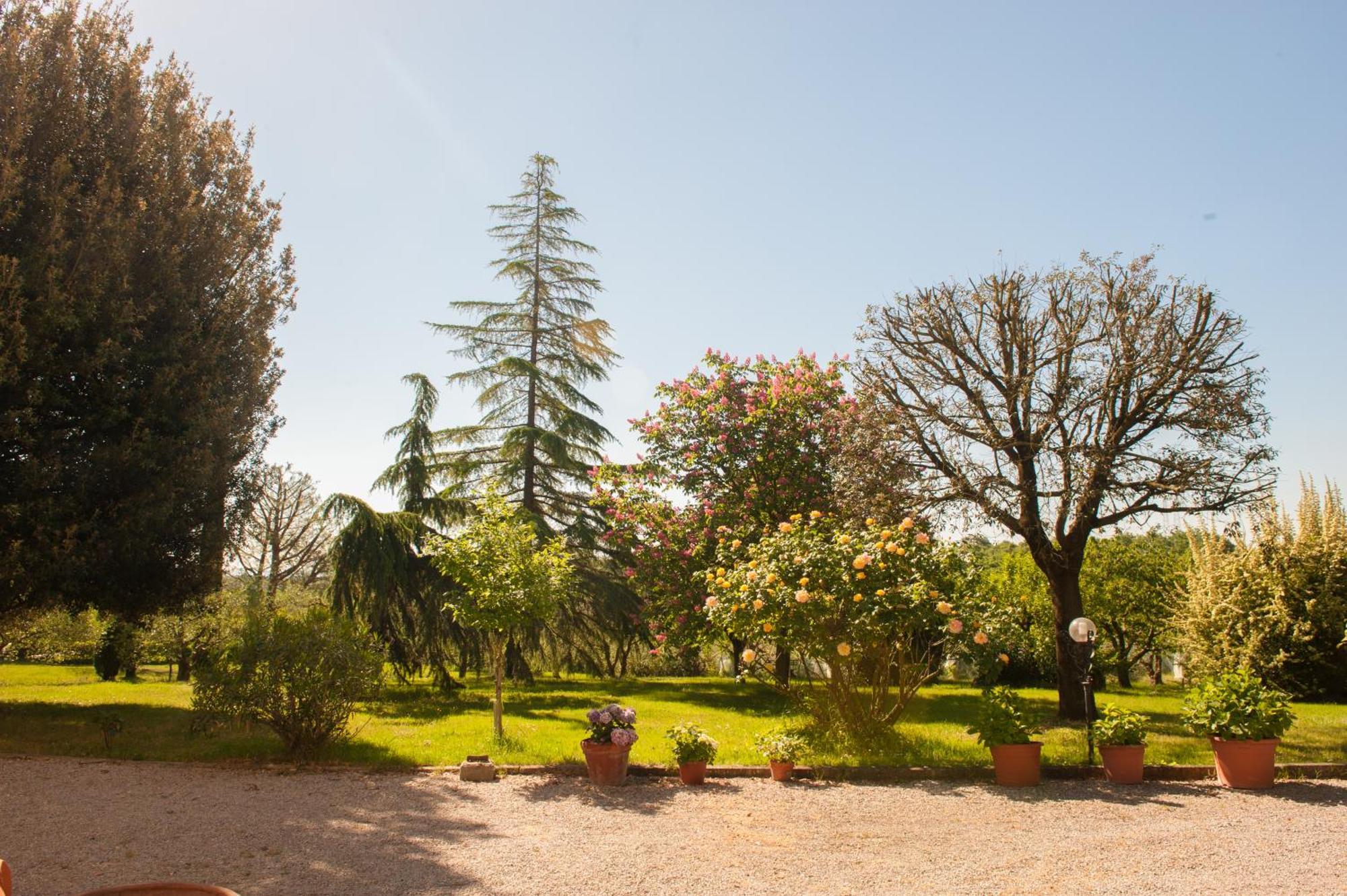 Agriturismo Villa La Morina Cortona Exterior photo